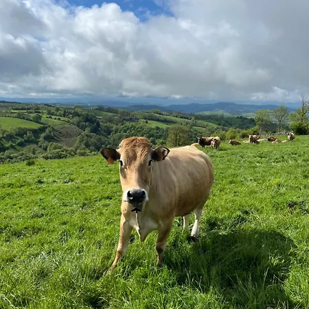 Alojamento de Acomodação e Pequeno-almoço L'ancienne Gendarmerie