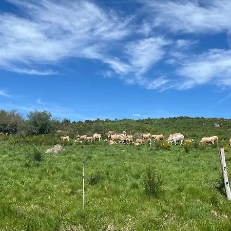 Bed & Breakfast L'ancienne Gendarmerie *