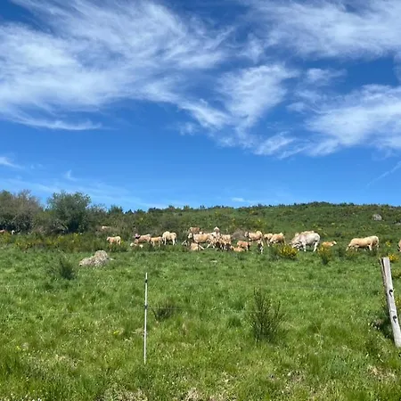 L'ancienne Gendarmerie * Saint-Chély-dʼAubrac