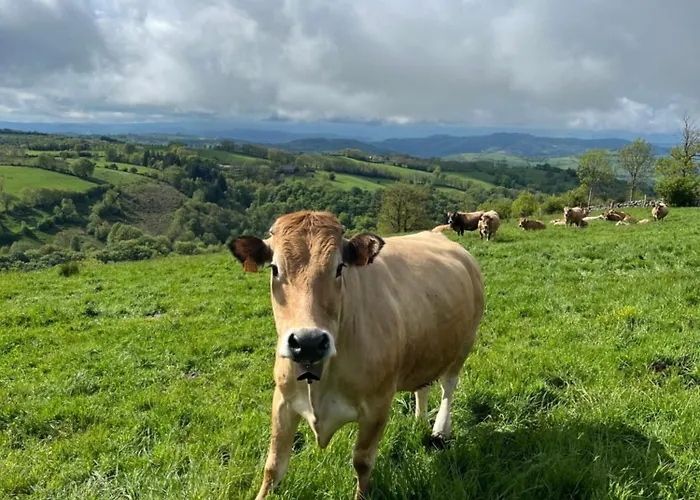 Bed and breakfast L'ancienne Gendarmerie